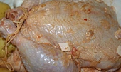 Loštické kuře  (Hanka)