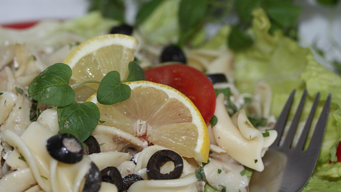 Těstovinový salát s tuňákem a bylinkami, Těstovinový salát s tuňákem a bylinkami