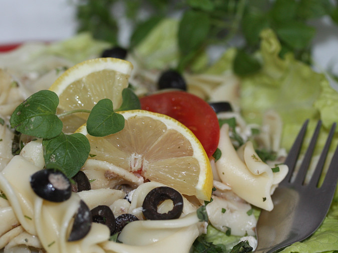 Těstovinový salát s tuňákem a bylinkami, Těstovinový salát s tuňákem a bylinkami
