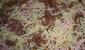 Barevný dort špagetový (detail)
