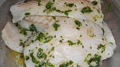 Halibut v bylinkách