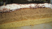 Jablíčkové řezy