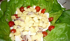 Jihofrancouzský salát