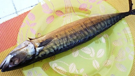 Lasagne s uzenou rybou