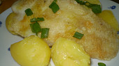 Pangasius přírodní
