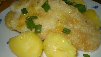 Pangasius přírodní