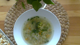 Polévka několika barev a chutí /vše, co bylo a zbylo/...