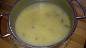 Polévka s pórkem, celerem, petrželí a sýrem