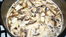 Polévka z houbiček