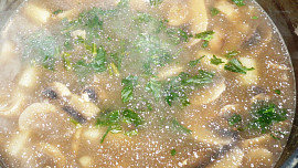 Polévka z houbiček