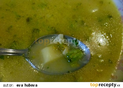 Polévka zeleninová s pangasem
