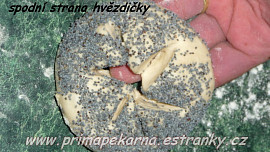 Slané makové hvězdičky