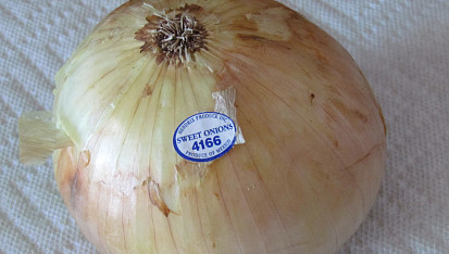 Smažená cibule trochu jinak