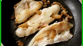 Štikozubec v bazalkovo-rajčatové peřince, rybu osmažíme z obou stran po 5minutách a vyndáme bokem