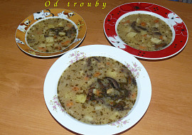 Troubovatá bramboračka