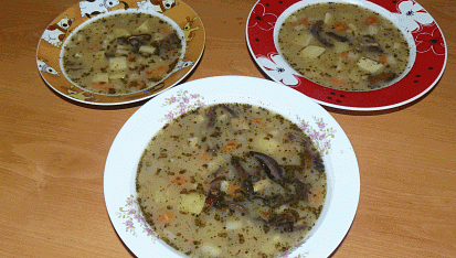 Troubovatá bramboračka