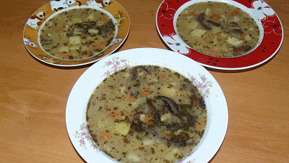 Troubovatá bramboračka