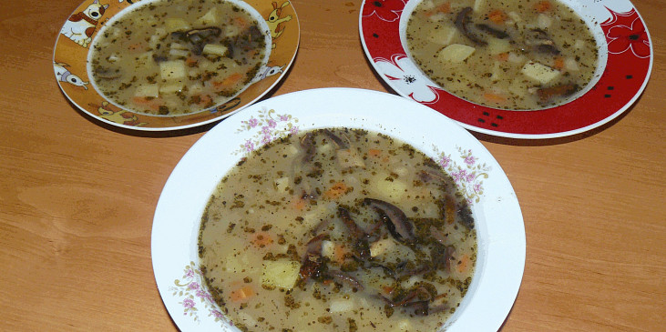 Troubovatá bramboračka