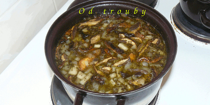 Troubovatá bramboračka
