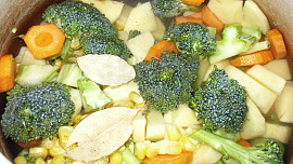 Zeleninová hustá polévka