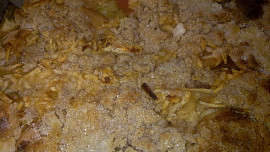 Crumble s rebarborou
