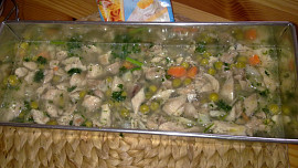 Domácí kuřecí netučná tlačenka s barevnou zeleninkou