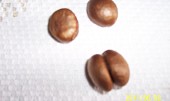 Džem z mišpulí DP (v každé mišpuli byla 2 semena)