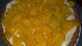 Fofr moučník  z  ovocného  kompotu  pro návštěvu