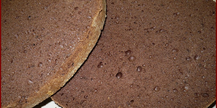 Kakaový olejový korpus na dort (Korpus na řezu)