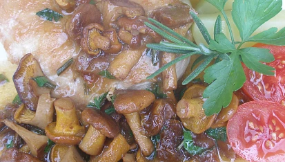 Kuřecí steak na rozmarýnu s liškami