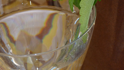 Sirup meduňkový, mátový, levandulový - podle mne