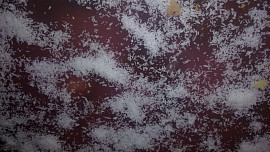 Šlehačková bublanina v  jahodovém  pudingovém županu