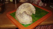 3D Dino na houbách + postup