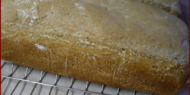 Pečeno v chlebíčkové formě v troubě