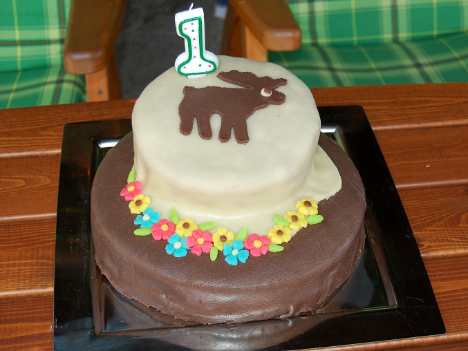 Čokoládový dort potažený marcipánem, Dort pro synka k 1.narozeninám