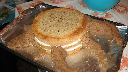 Dort - Pařez