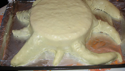 Dort - Pařez