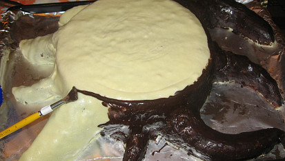 Dort - Pařez