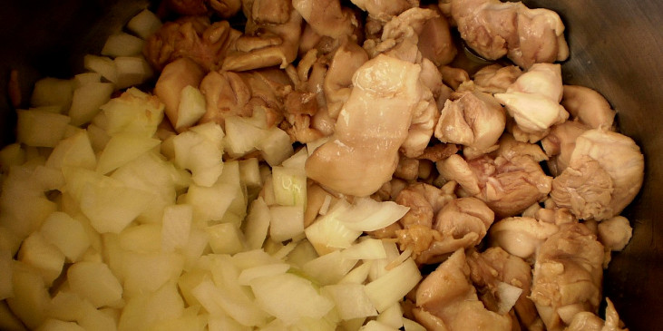 nakrájené maso orestujeme na rozpáleném tuku,pak přidáme cibuli,promícháme a pod pokličkou 10minut dusíme