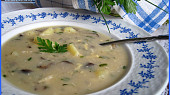 Jihočeská kudlaná
