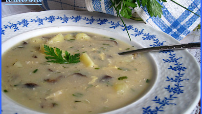 Jihočeská kudlaná