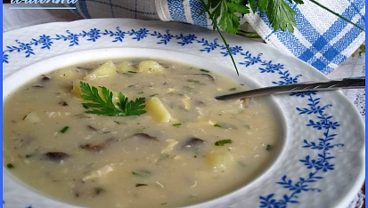 Jihočeská kudlaná
