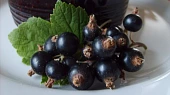 Marmeláda - rosol z černého rybízu - nevařená