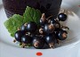 Marmeláda - rosol z černého rybízu - nevařená