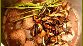 Maso s vůní bylinek, orestované maso podlijeme vínem,přidáme houby a dusíme do skoroměkka