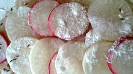 Mořská ryba  v ředkvičkovém, šupinovém  županu