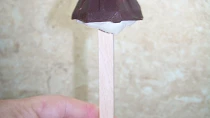 Mražený míša nanuk