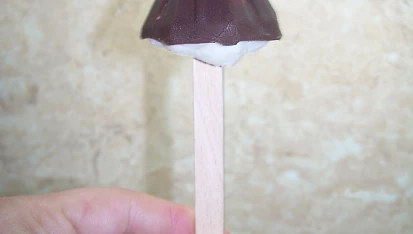 Mražený míša nanuk