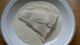 Pangasius z přístavní krčmy