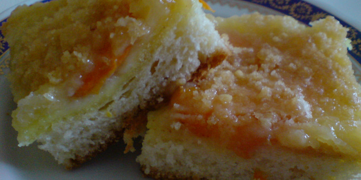 Šťavnatý meruňkový koláč s podmazáním